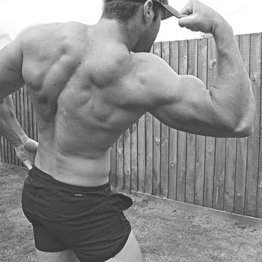 Bulk